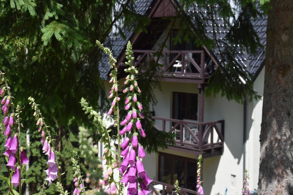 Szafirowy Zakatek Apartment Karpacz Exterior photo